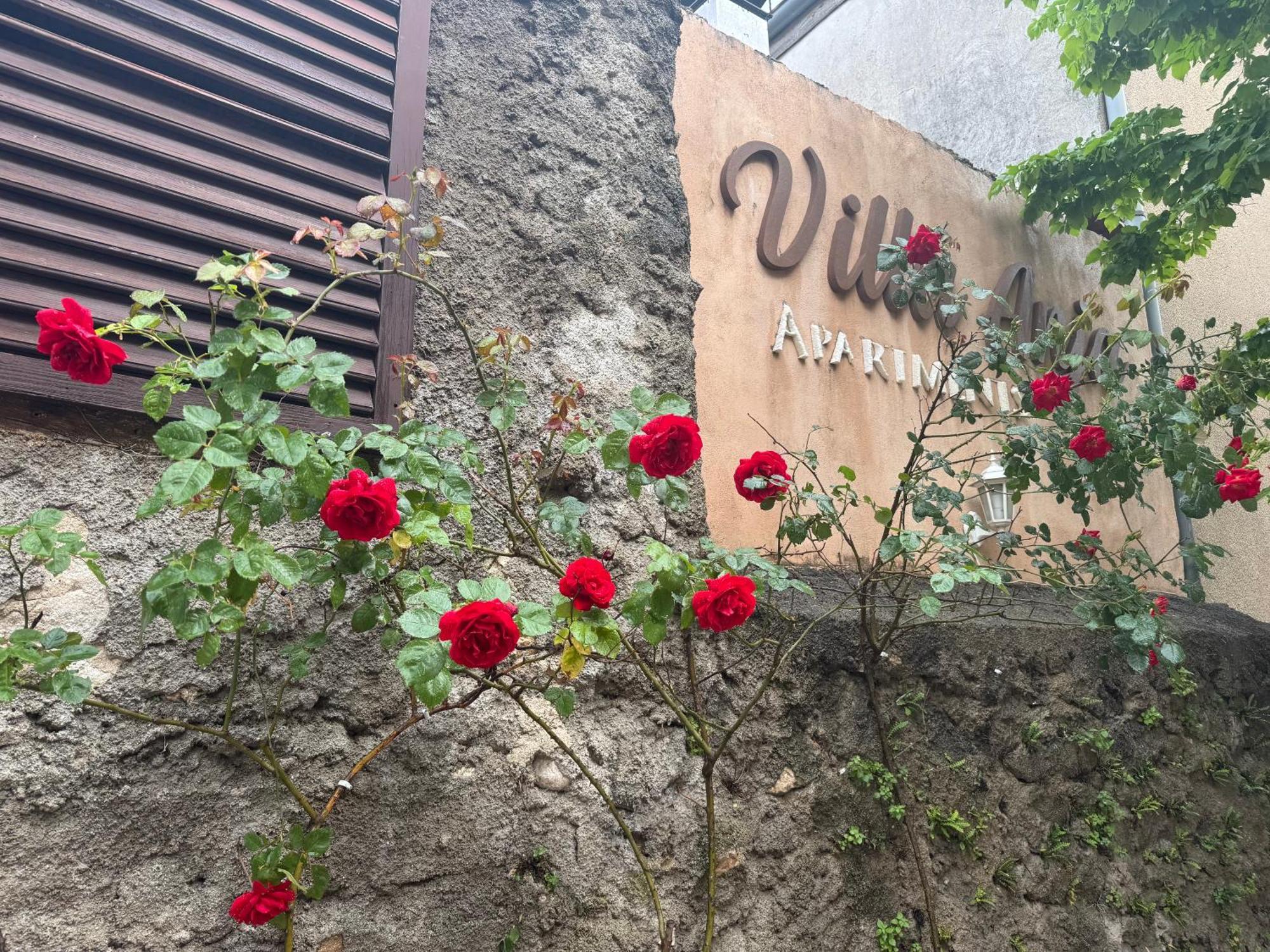 Villa Anja Apartments Mostar Buitenkant foto
